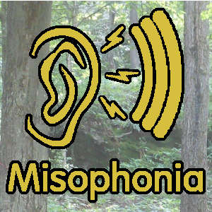 sound-sensitivity-problems-misophonia-02