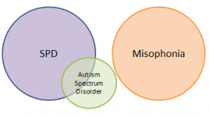 autism-misophonia-link-information-top-nyc-specialist-01