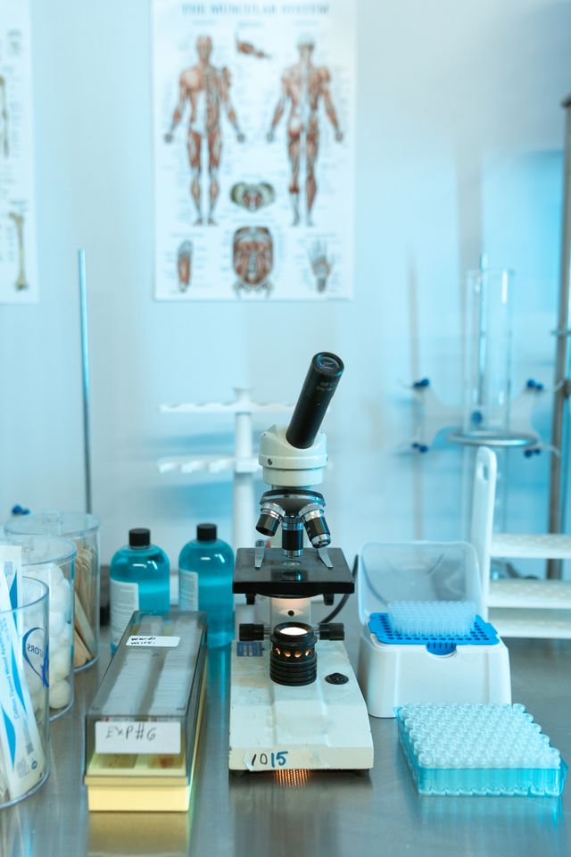 Misophonia Research From Lab to Real‑World Treatment